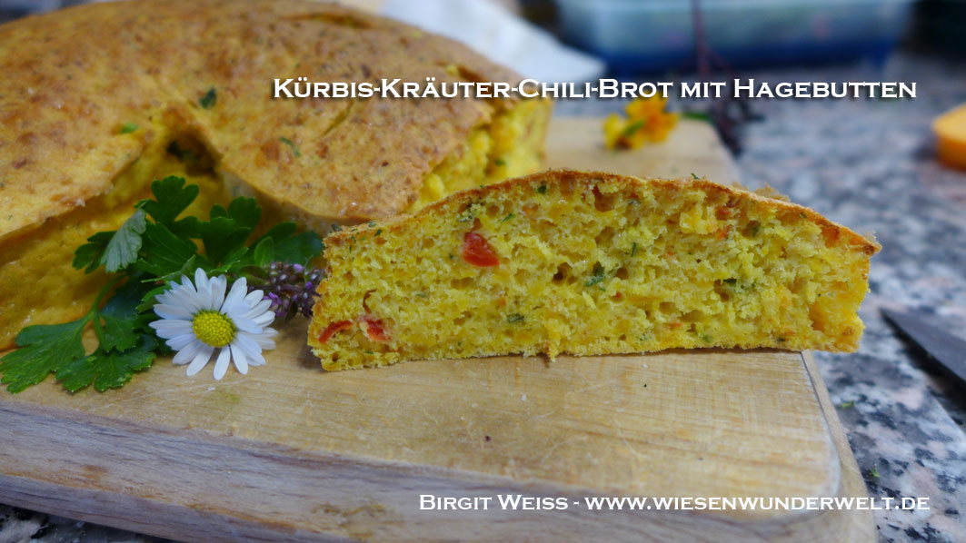 Kürbis-Kräuter-Chili-Brot : Würzig & Pikant – Wiesenwunderwelt – (Wilde ... Kürbis-Kräuter-Chili-Brot : Würzig & Pikant – Wiesenwunderwelt – (Wilde ...